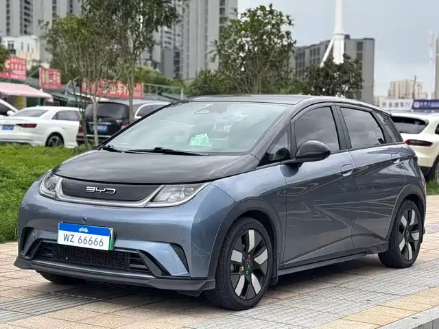 BYD Dolphin