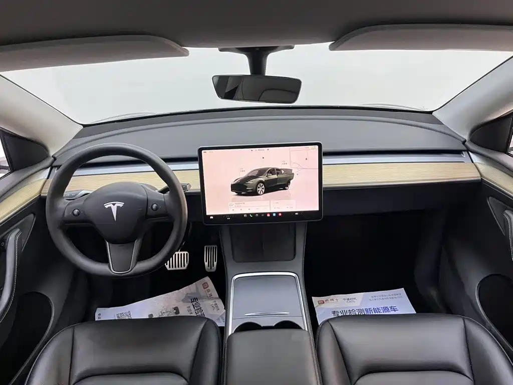 Tesla Model Y — миниатюра 9