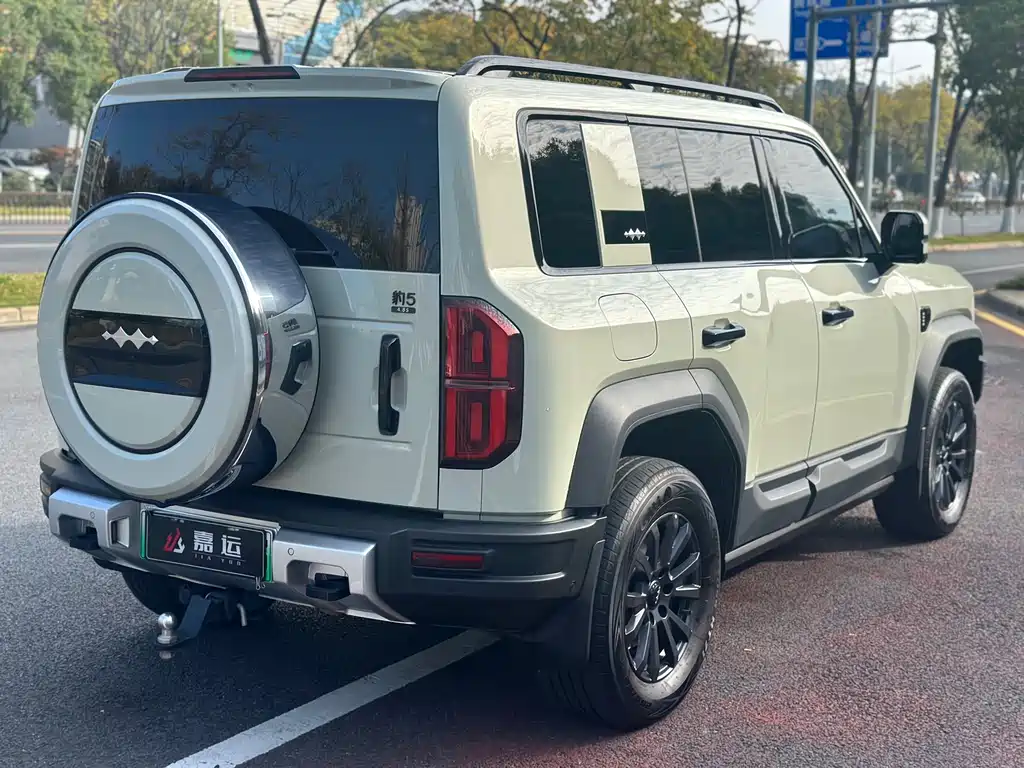 FANG CHENG BAO LEOPARD 5