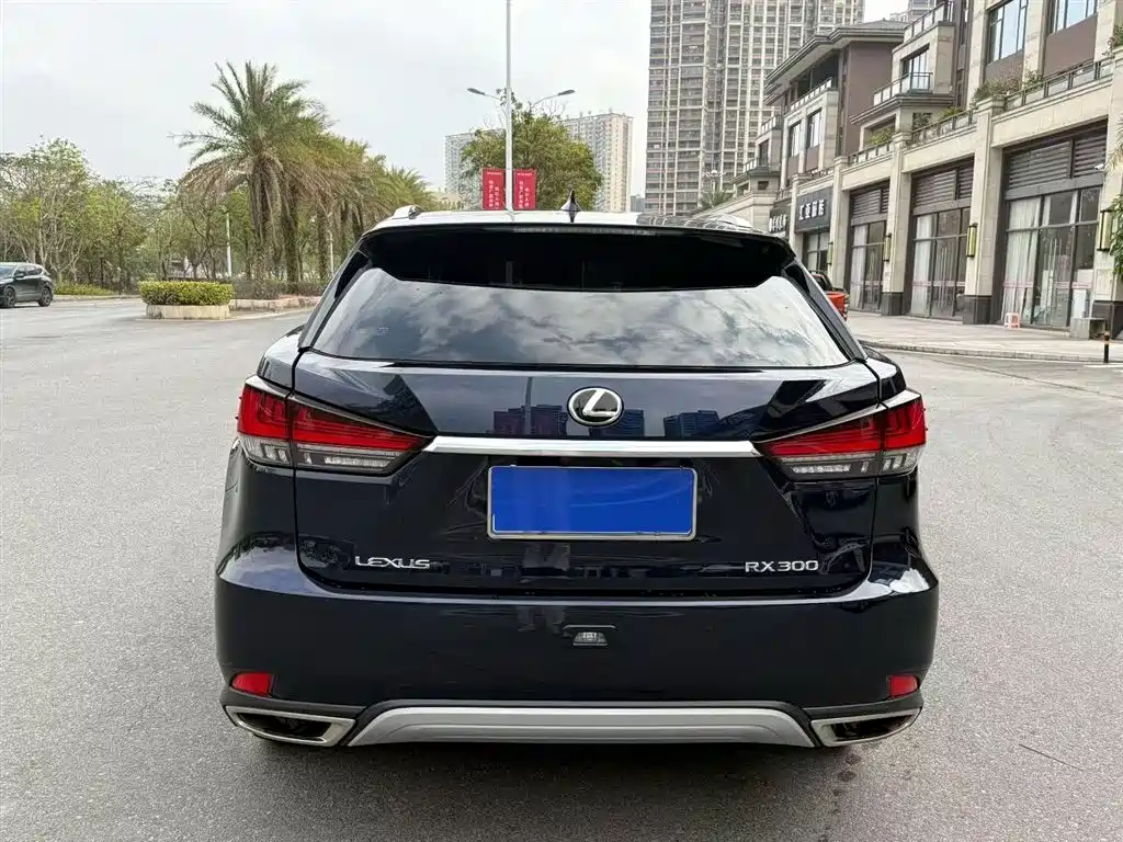 Lexus RX 2020 300 Elegant