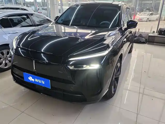 WEI PAI WEI BRAND BLUE MOUNTAIN 2024