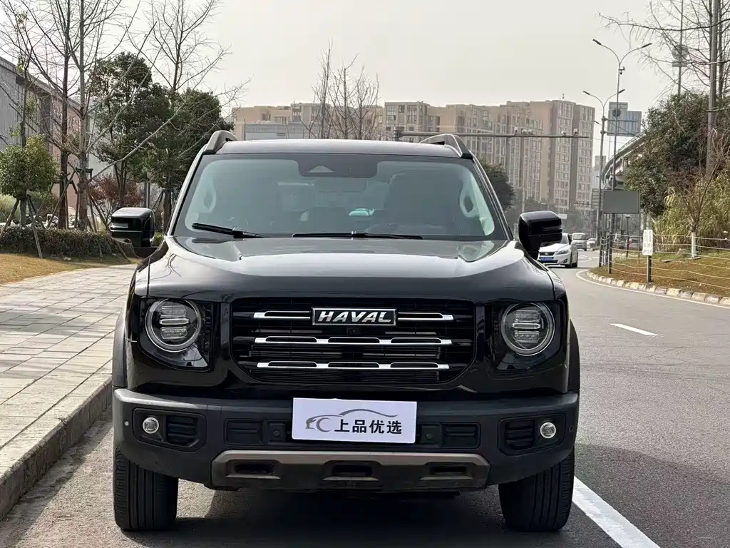 HAVAL BIG DOG