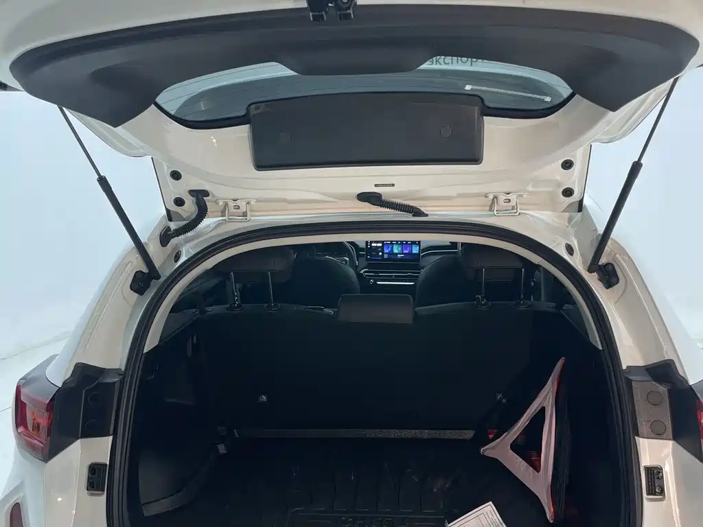 Haval Chitu — миниатюра 16