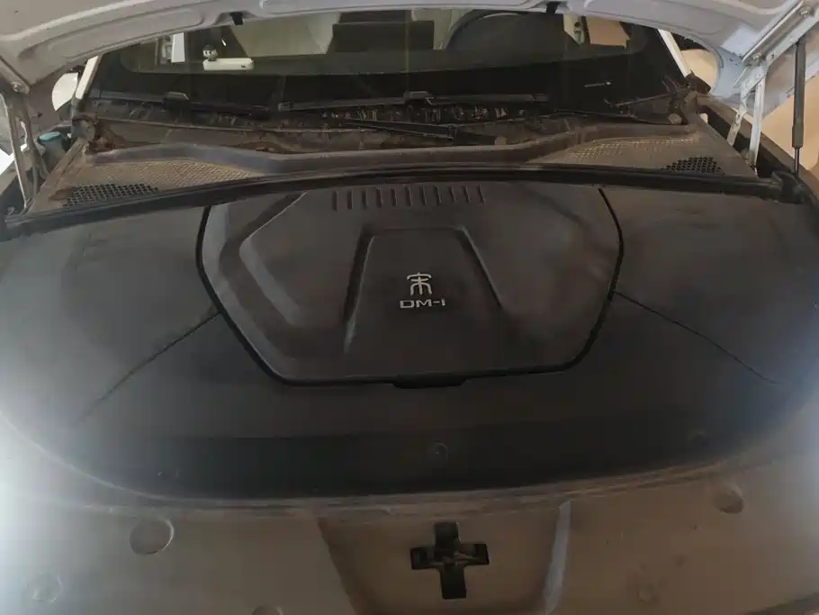 BYD PLUS New Energy — миниатюра 10