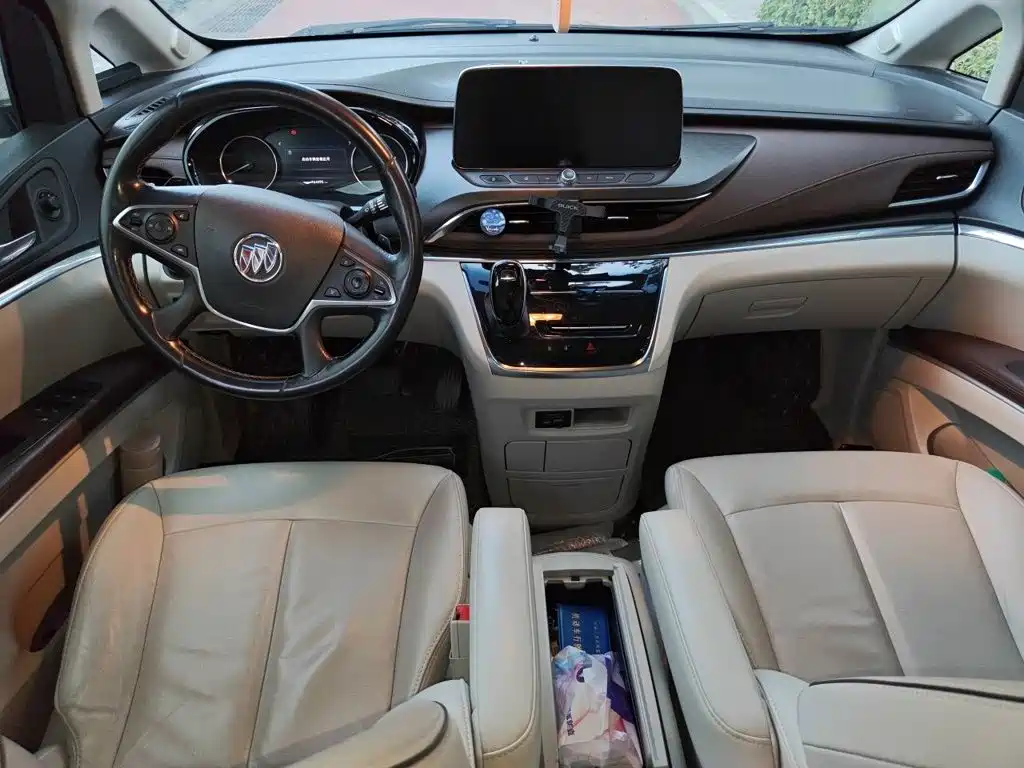 Buick GL8 — миниатюра 10