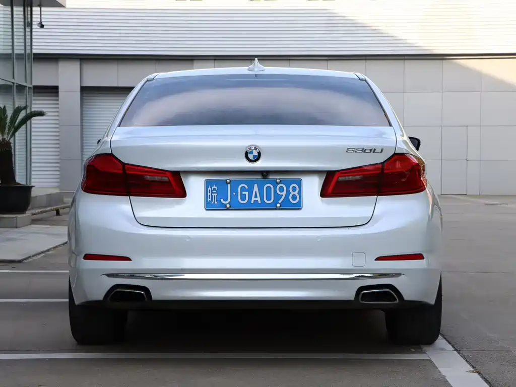 BMW 5 Series 5 2019 530Li Premium Luxury
