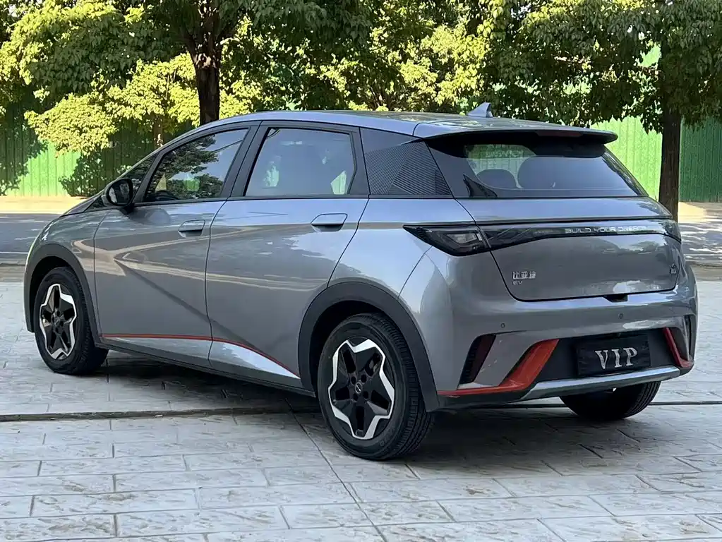 BYD Dolphin 2021 405km Fashion