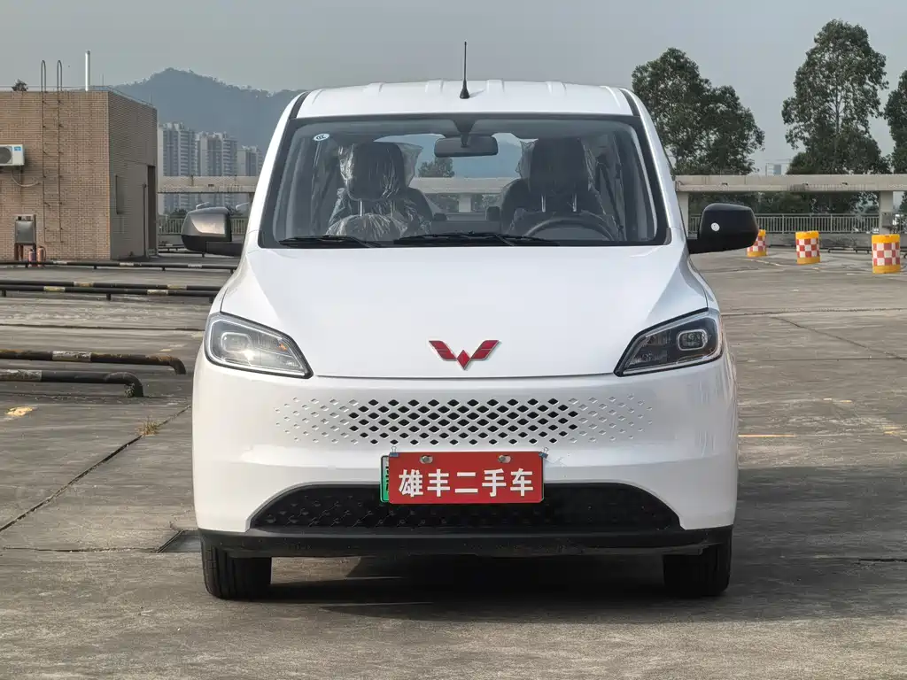 WULING WULING HONGGUANG NEW ENERGY