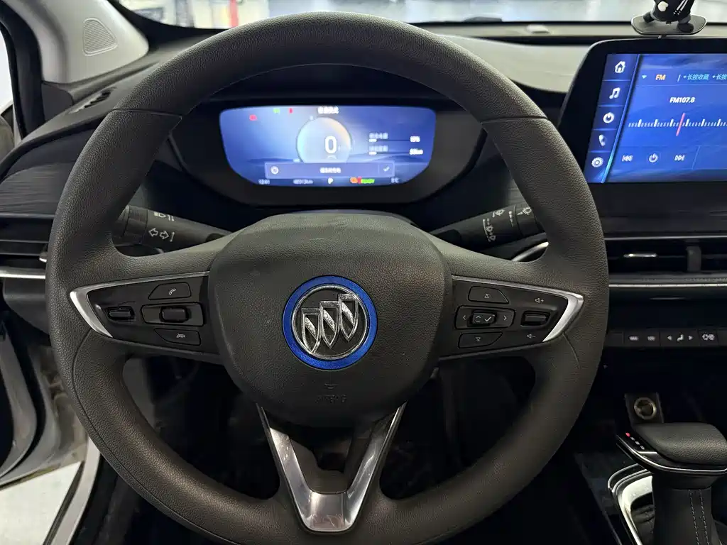 BUICK SLIGHTLY BLUE 6