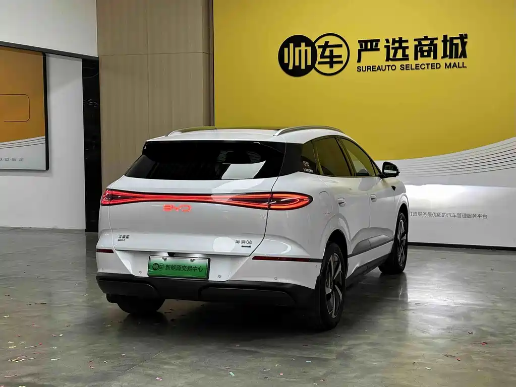 BYD Sealion 06 — миниатюра 7