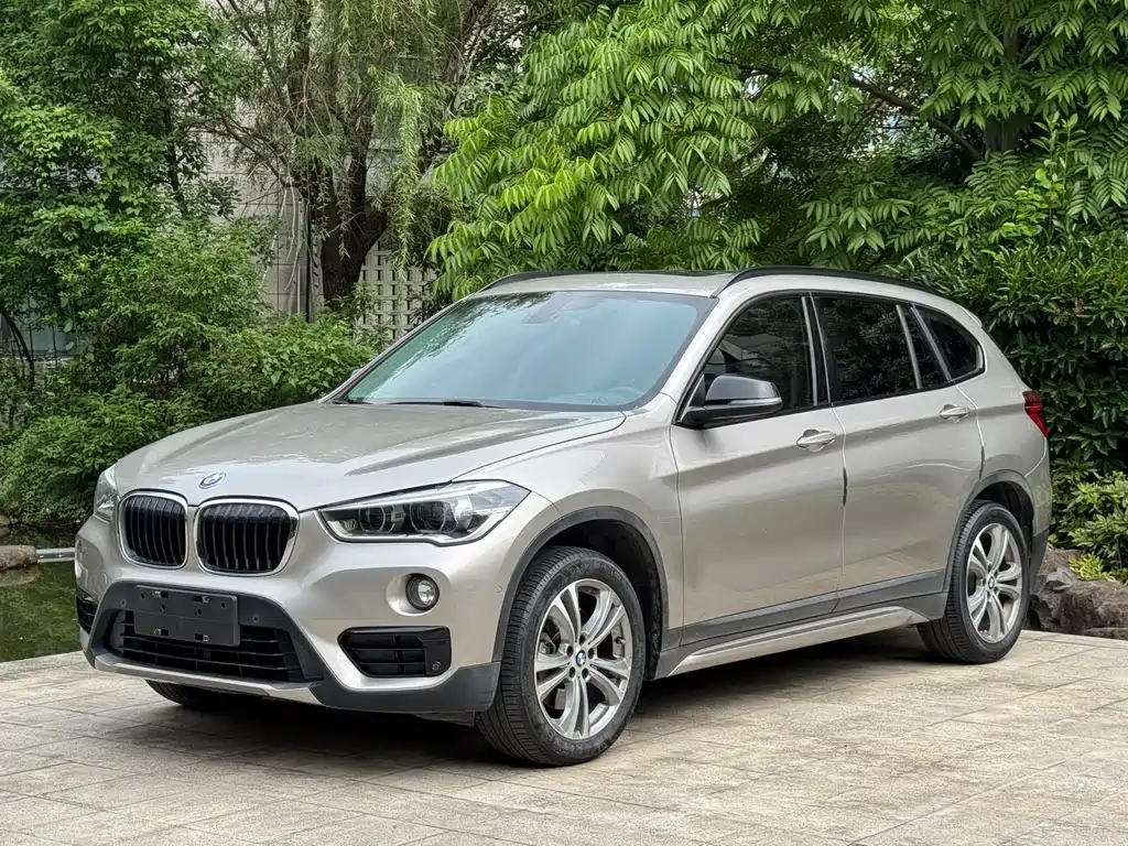BMW X1 2018 xDrive20Li Premium Type