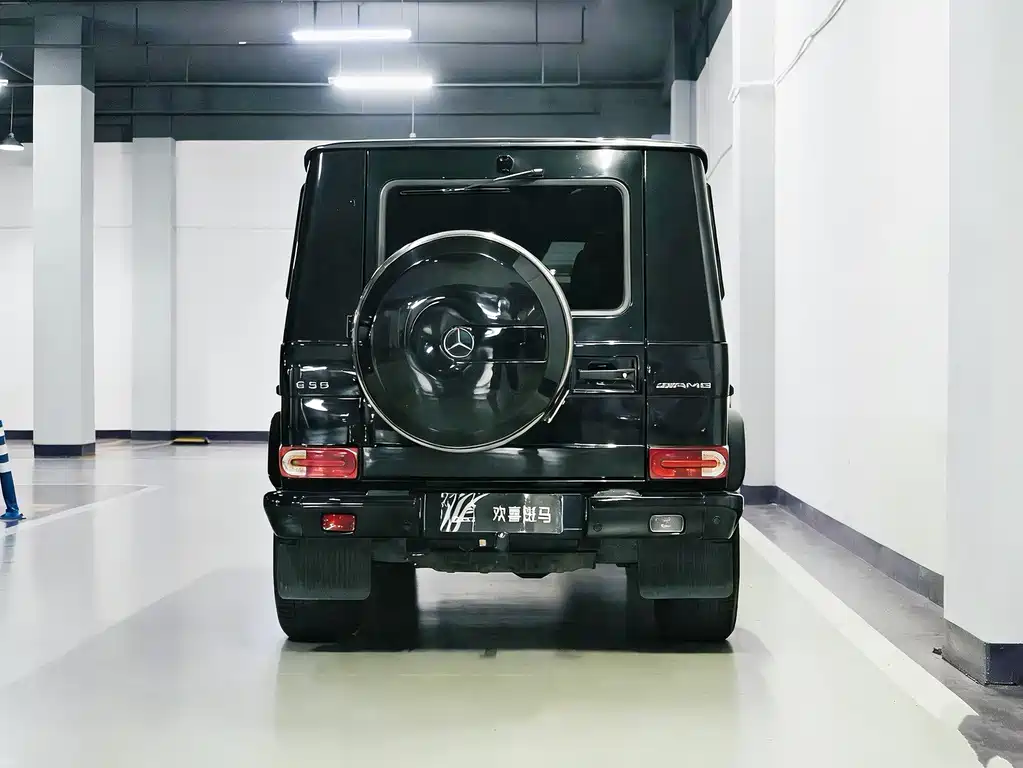 Mercedes-Benz G-Class A MG G AMG 2009 AMG G 55