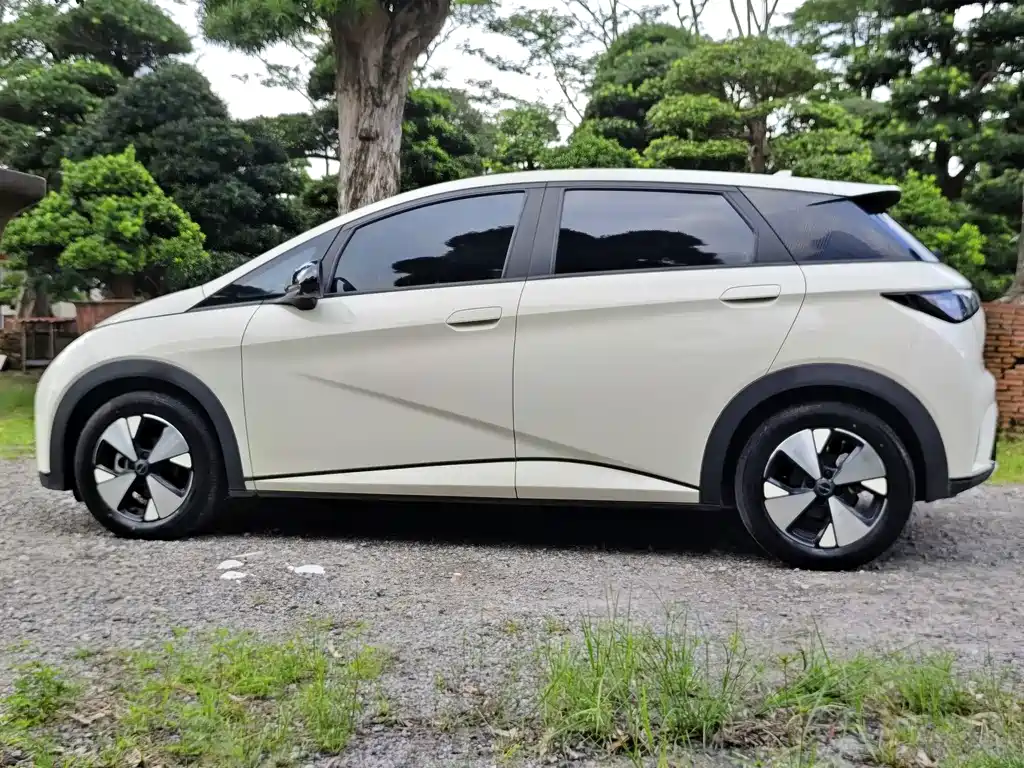BYD Dolphin — миниатюра 14
