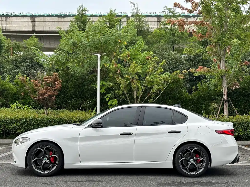 Alfa Romeo Giulia 2.0T 200HP Luxury Edition, фото 7