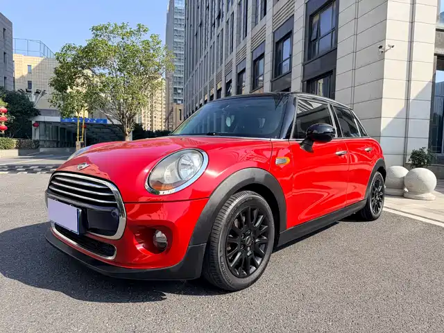 mini 