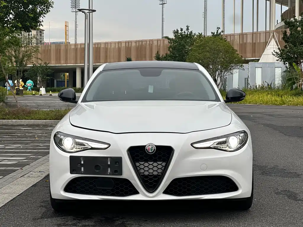 Alfa Romeo Giulia 2.0T 200HP Luxury Edition, фото 2