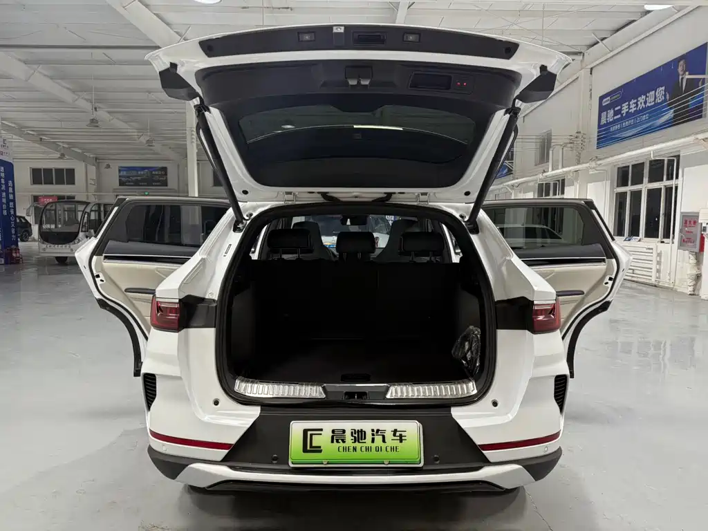 BYD SONGJIANG NEW ENERGY