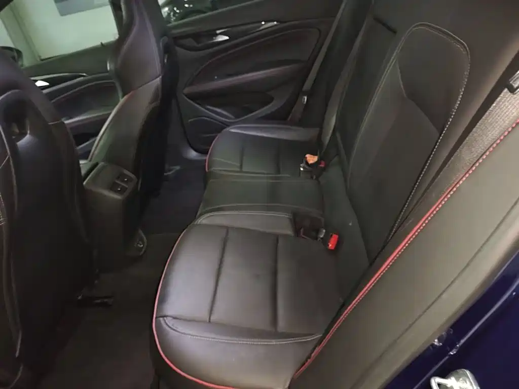 Buick Regal — миниатюра 17