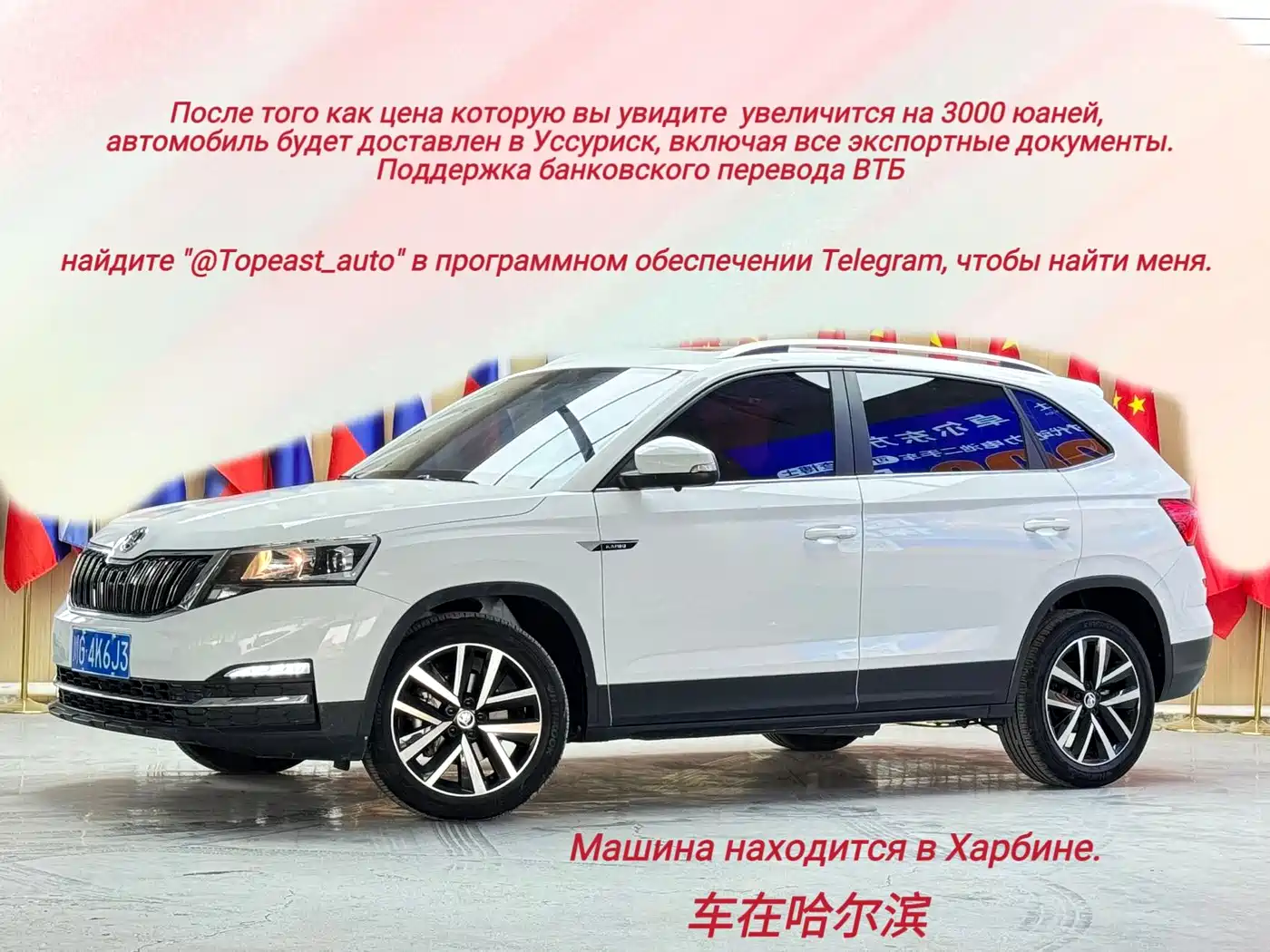 Skoda Kamiq id 4589139 из Китая 9