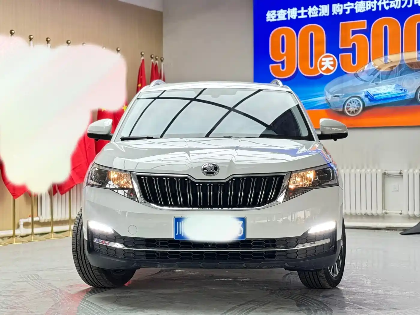 Skoda Kamiq id 4589139 из Китая 10