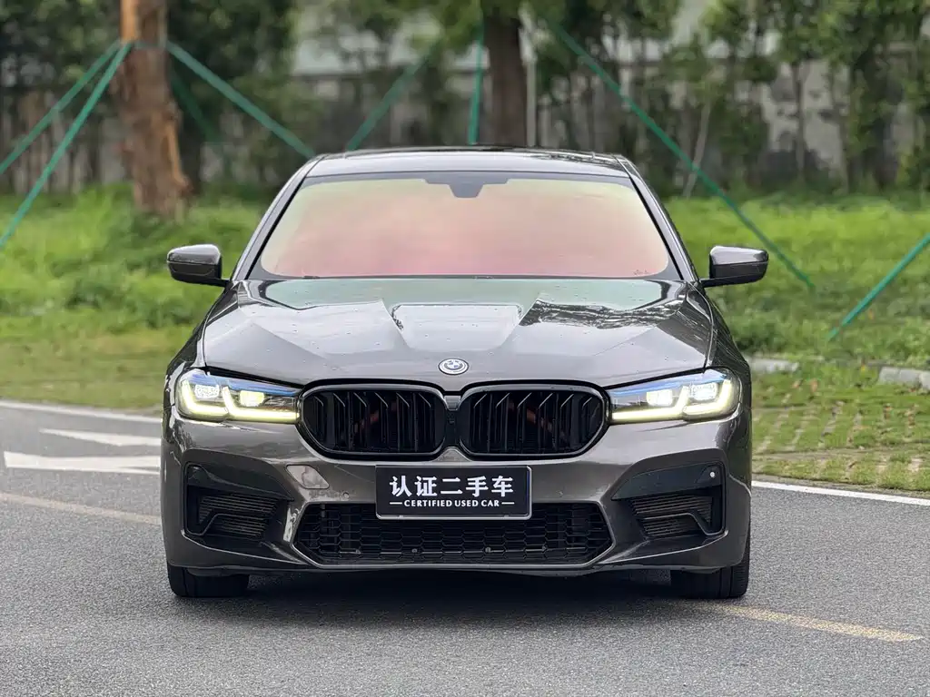BMW 5 Series 5 2018 528Li