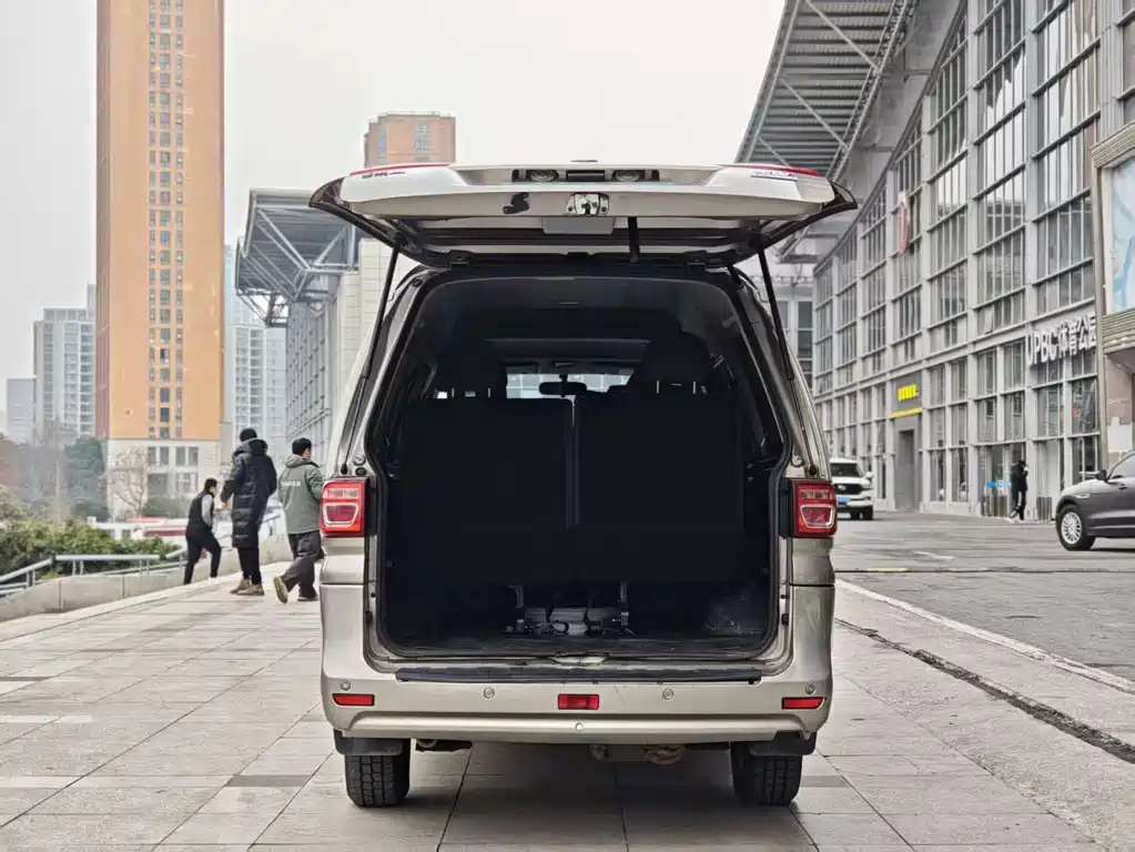 DONGFENG LINGZHI NEW ENERGY