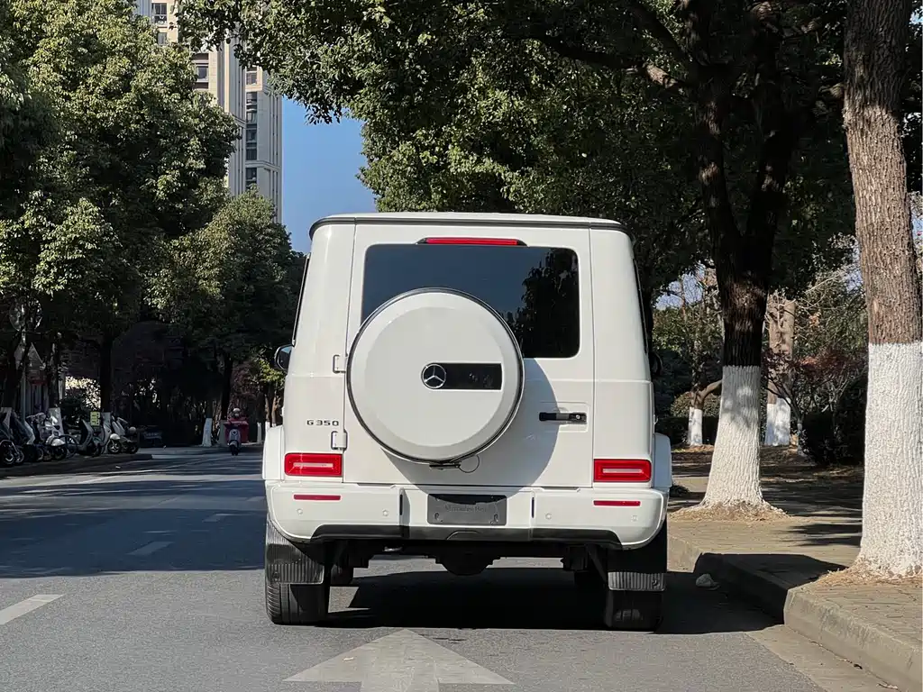 MERCEDES-BENZ G CLASS