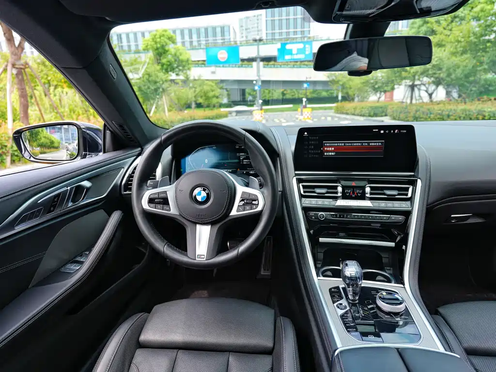 BMW 8 Series — миниатюра 11