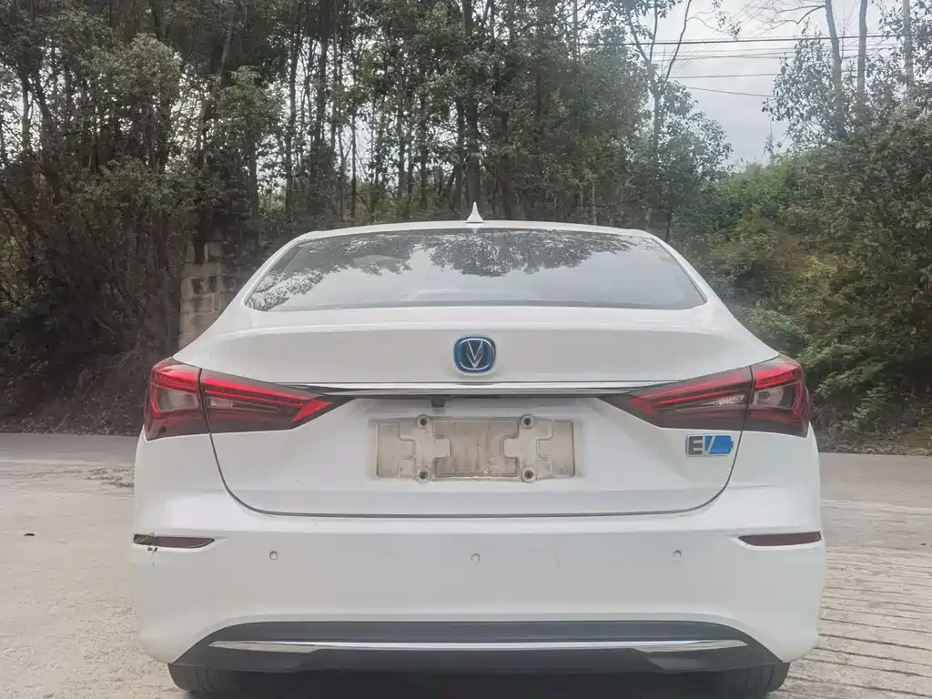 CHANGAN YIDONG NEW ENERGY