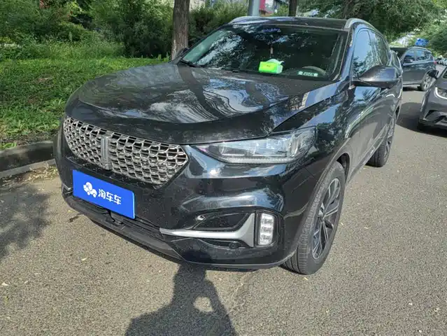 WEI PAI WEI BRAND VV6 2021