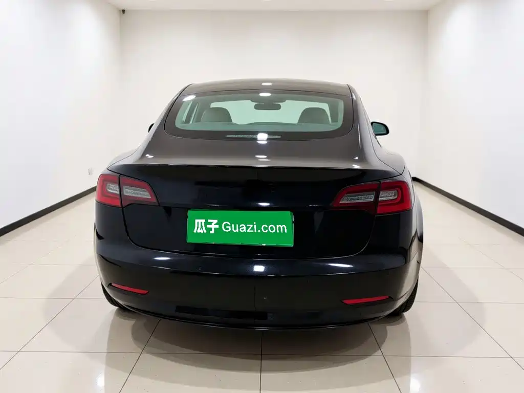 Tesla Model 3 — миниатюра 5