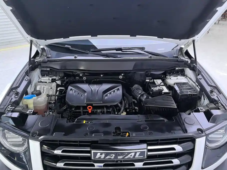 Haval Dargo 2.0T DCT 2WD Mid Splendid Hunt Dog Edition, фото 10
