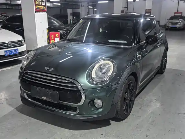 mini 