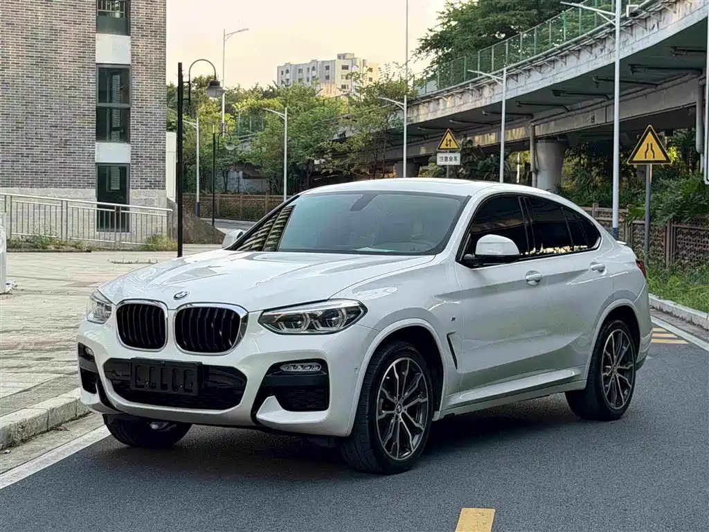 BMW X4 — миниатюра 2