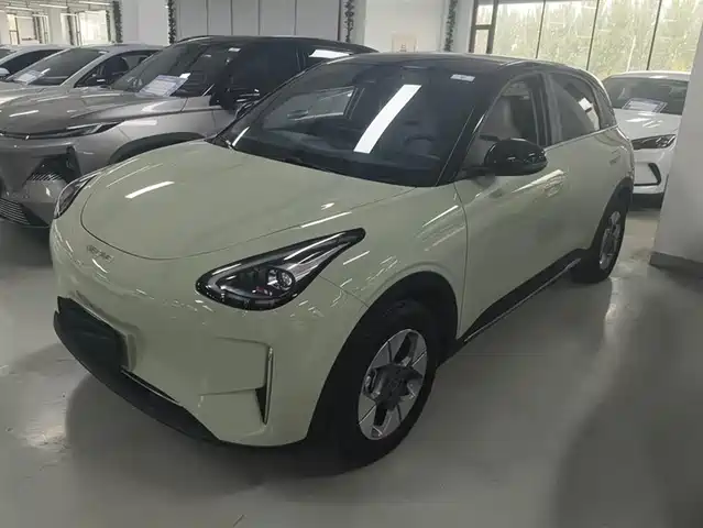 GEELY GALAXY STAR WISH 2024