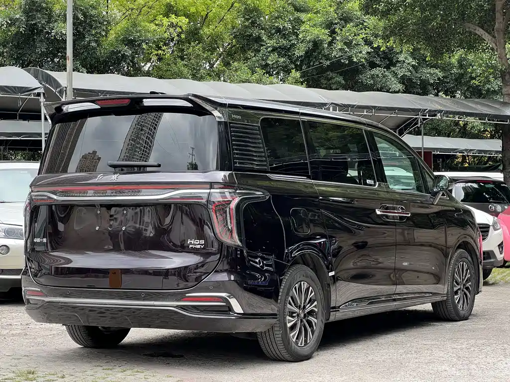Hongqi HQ9 PHEV 2024 2.0T