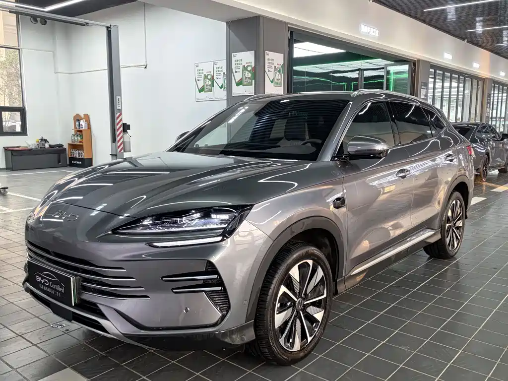 BYD SONGJIANG NEW ENERGY