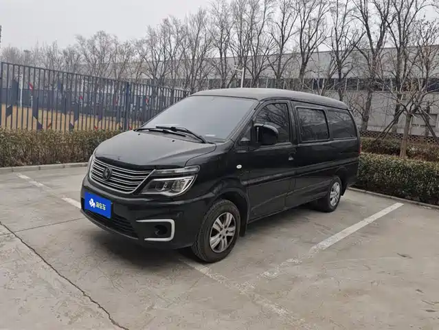 DONGFENG LINGZHI
