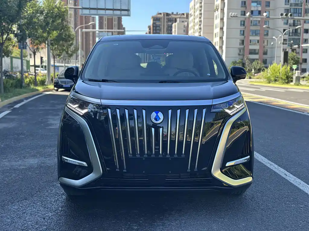Denza Denza D9 — миниатюра 2