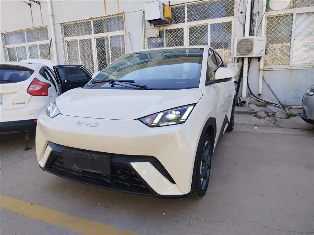 Byd Seagull 2024