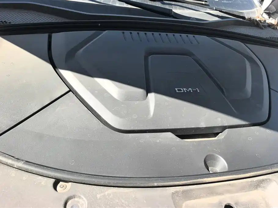 BYD SONGJIANG NEW ENERGY