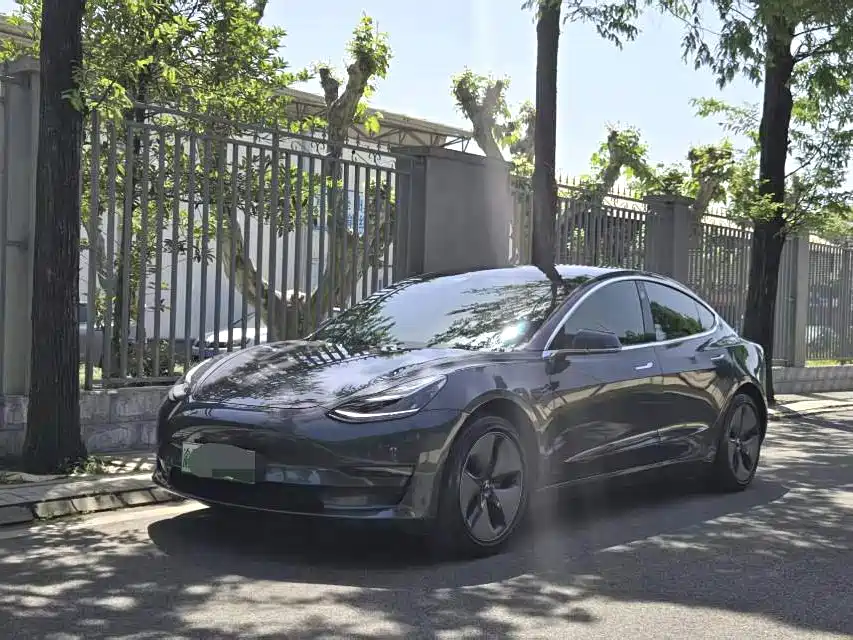 Tesla Model 3 2019