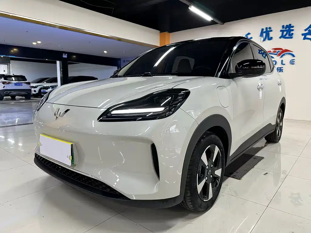 Wuling Bingo PLUS 2024