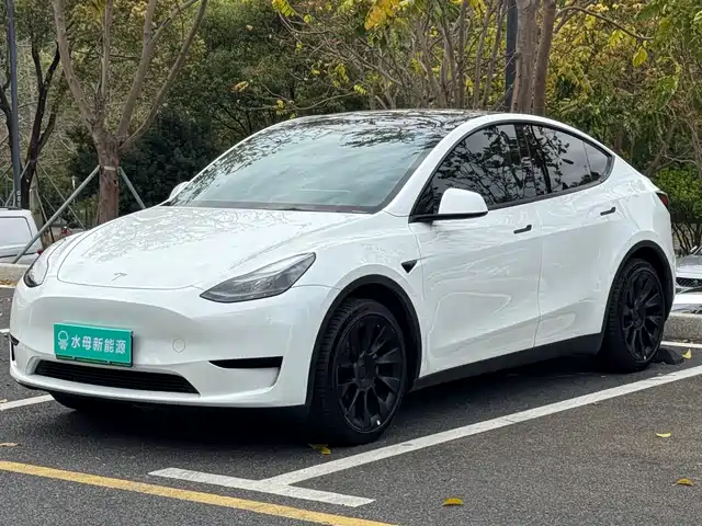 TESLA MODEL Y 2024