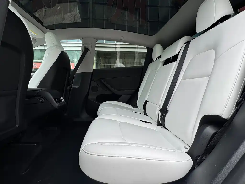 Tesla Model Y — миниатюра 15