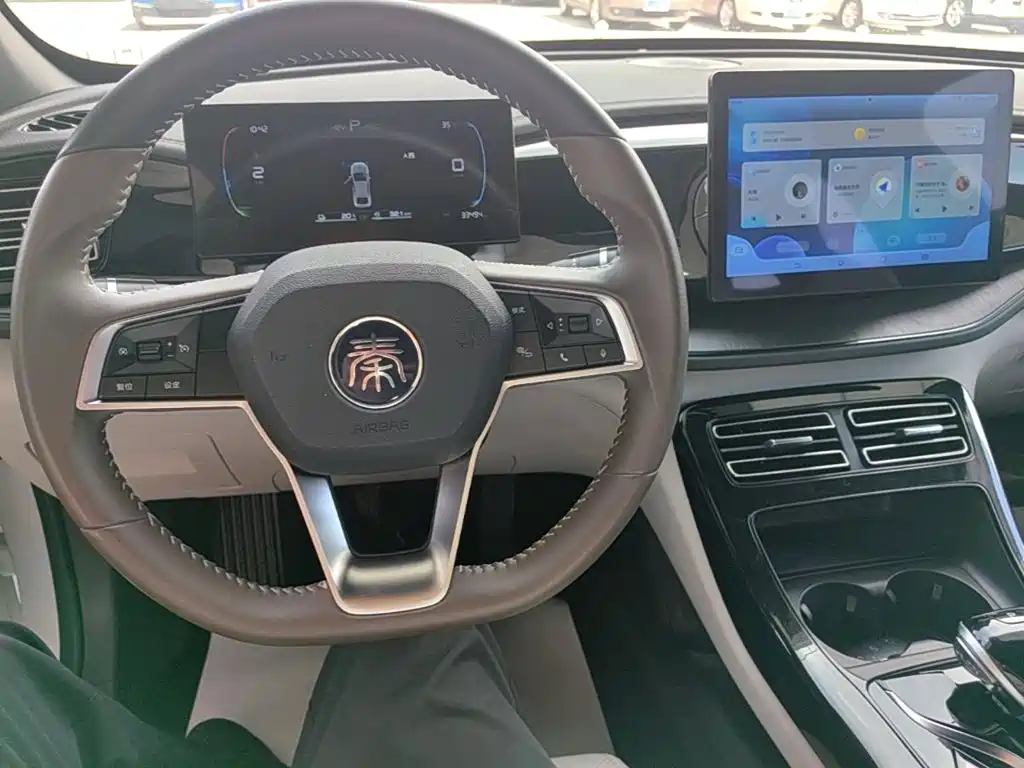 BYD Qin Plus PLUS 2023 Champion DM-i 55KM Lead