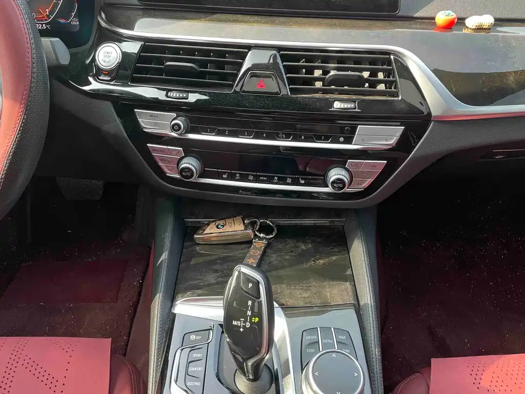 BMW 5 Series 5 2020 530Li xDrive M Sport