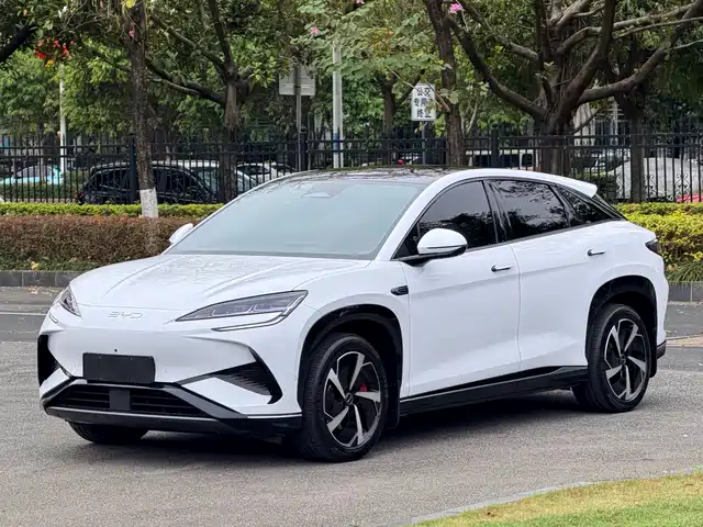 2024 BYD Sea Lion