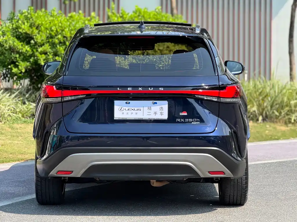Lexus RX 2023 — фото 15
