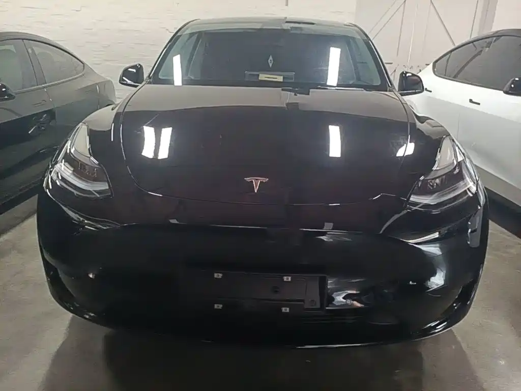 Tesla Model Y — миниатюра 3